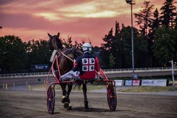 Foto Demuru ippodromo Vinovo.jpg - {Foto Demuru ippodromo Vinovo.jpg} - [146503]