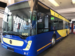 Bus.jpg - {Bus.jpg} - [14655]