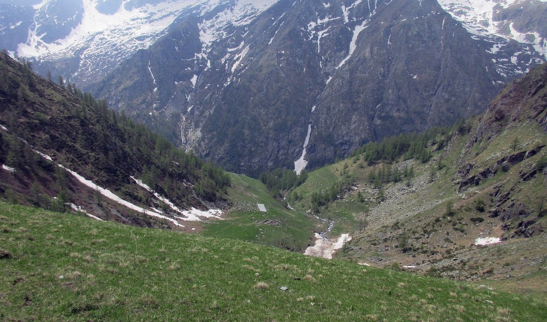 Foto Valle Soana.jpg - {Foto Valle Soana.jpg} - [147513]