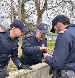 Foto Polizia controlli.JPG - {Foto Polizia controlli.JPG} - [147625]