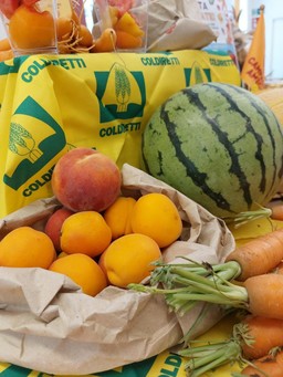 Frutta-estiva-NEW-768x1024.jpg - {Frutta-estiva-NEW-768x1024.jpg} - [147777]