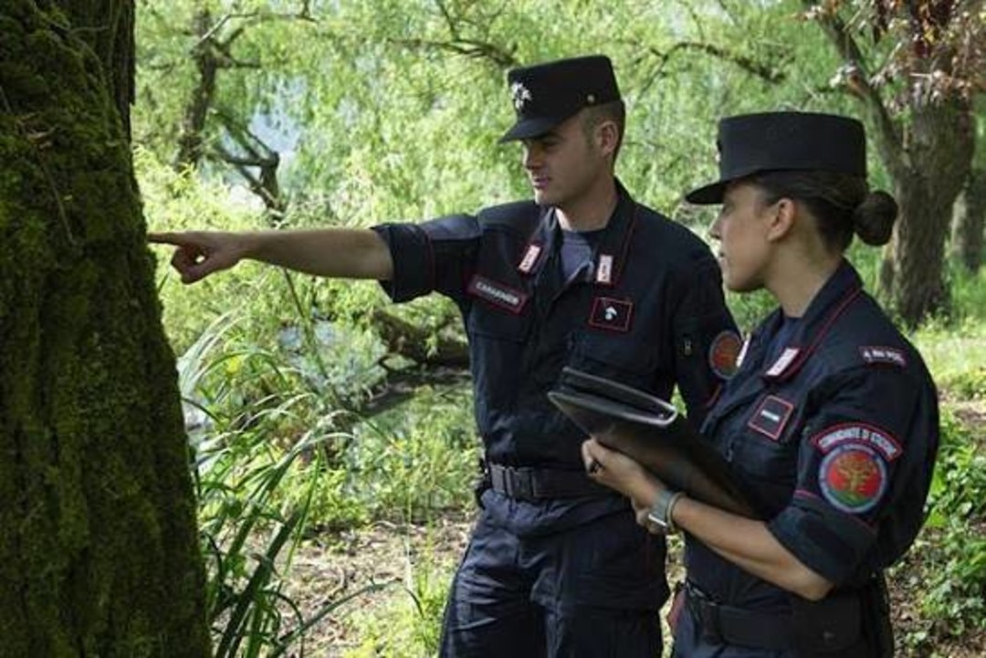 CARABINIERI FORESTALE  .jpeg - {CARABINIERI FORESTALE  .jpeg} - [147905]
