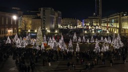 BoschettoTorino.jpeg - {BoschettoTorino.jpeg} - [147921]