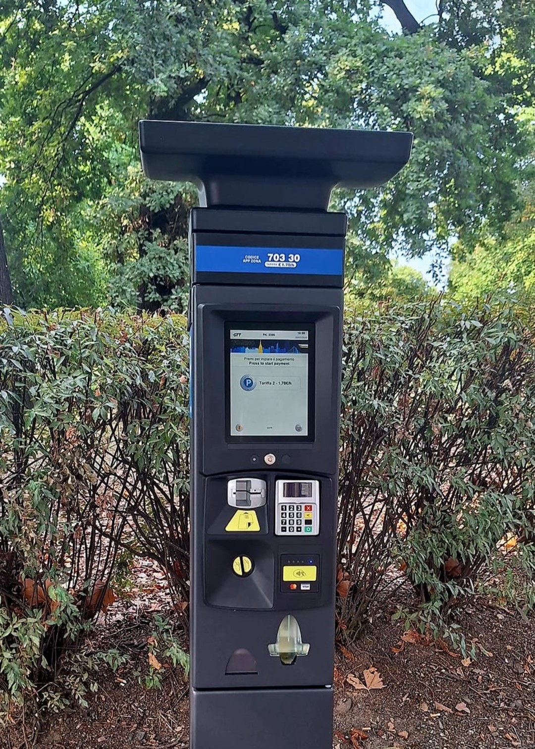 Foto parcometro Gtt.jpeg - {Foto parcometro Gtt.jpeg} - [147945]