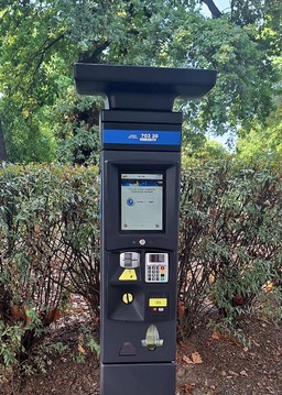 Foto parcometro Gtt.jpeg - {Foto parcometro Gtt.jpeg} - [147945]