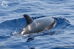 455603092_533010015732689_6874952526221319472_n.jpg - {455603092_533010015732689_6874952526221319472_n.jpg} - [14831]