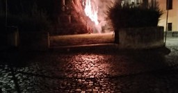  albero nel Parco della Rimembranza di Montanaro, a pochi metri dal monumento dedicato ai Caduti.jpg - { albero nel Parco della Rimembranza di Montanaro, a pochi metri dal monumento dedicato ai Caduti.jpg} - [148529]