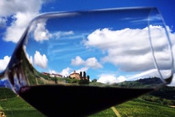 Enoteca-regionale-Barolo-02.jpg - {Enoteca-regionale-Barolo-02.jpg} - [149529]