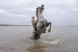 World Press Photo Exhibition.jpeg - {World Press Photo Exhibition.jpeg} - [149665]