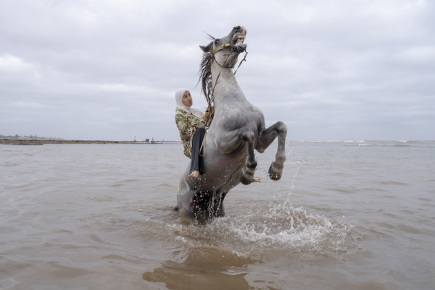 World Press Photo Exhibition.jpeg - {World Press Photo Exhibition.jpeg} - [149665]