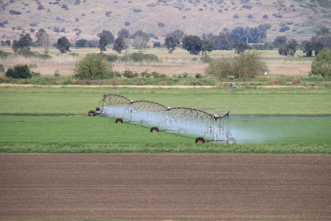 Acqua coltivazioni agricoltura.jpg - {Acqua coltivazioni agricoltura.jpg} - [150497]