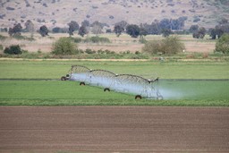 Acqua coltivazioni agricoltura.jpg - {Acqua coltivazioni agricoltura.jpg} - [150497]