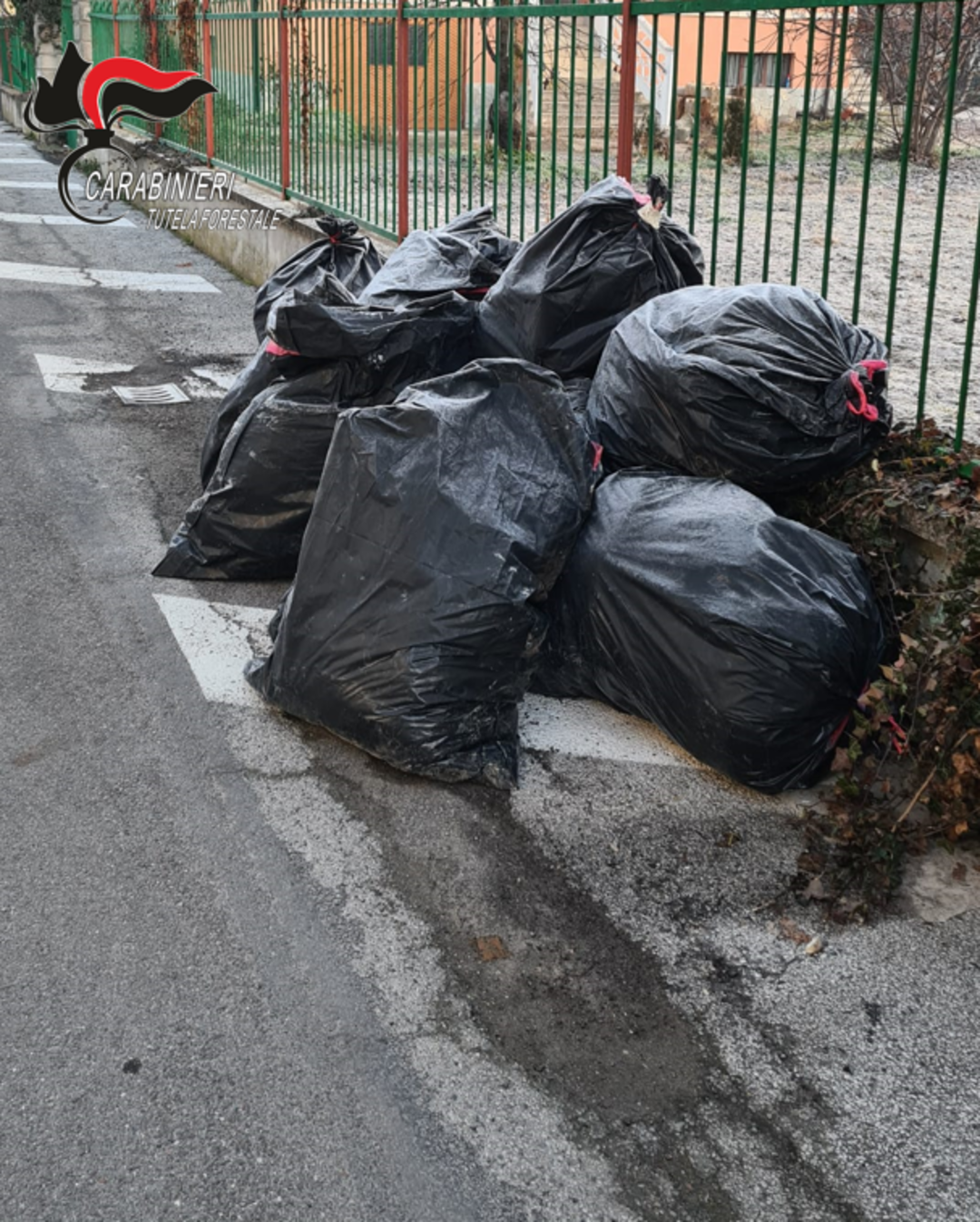 Immagine_rifiuti_sacchi.png - {Immagine_rifiuti_sacchi.png} - [1516]