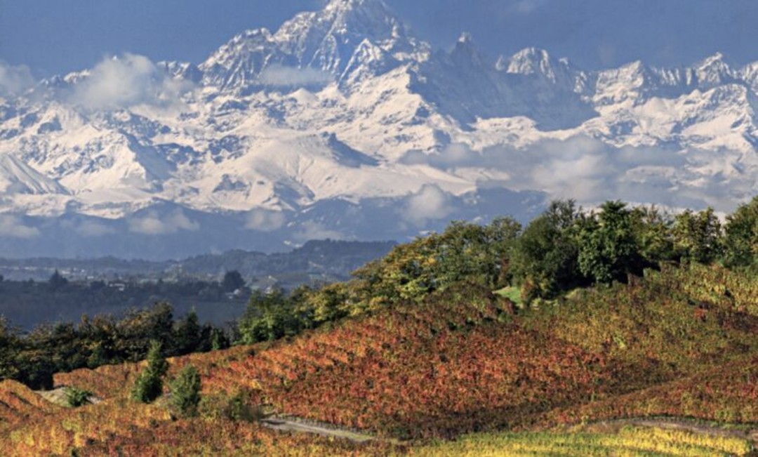 La Meraviglia Unesco di Langhe Roero e Monferrato.jpg - {La Meraviglia Unesco di Langhe Roero e Monferrato.jpg} - [15280]