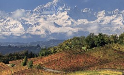 La Meraviglia Unesco di Langhe Roero e Monferrato.jpg - {La Meraviglia Unesco di Langhe Roero e Monferrato.jpg} - [15280]