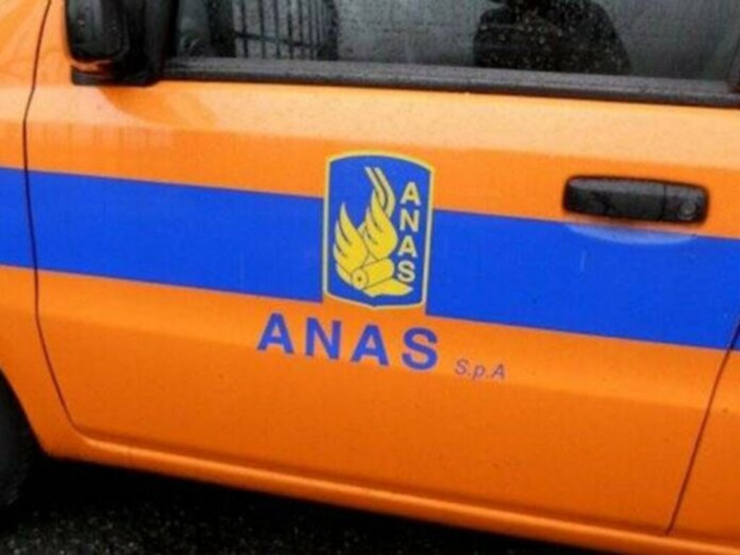 anas.jpg - {anas.jpg} - [15528]