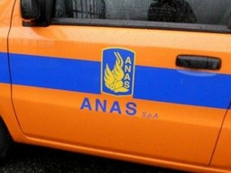 anas.jpg - {anas.jpg} - [15528]