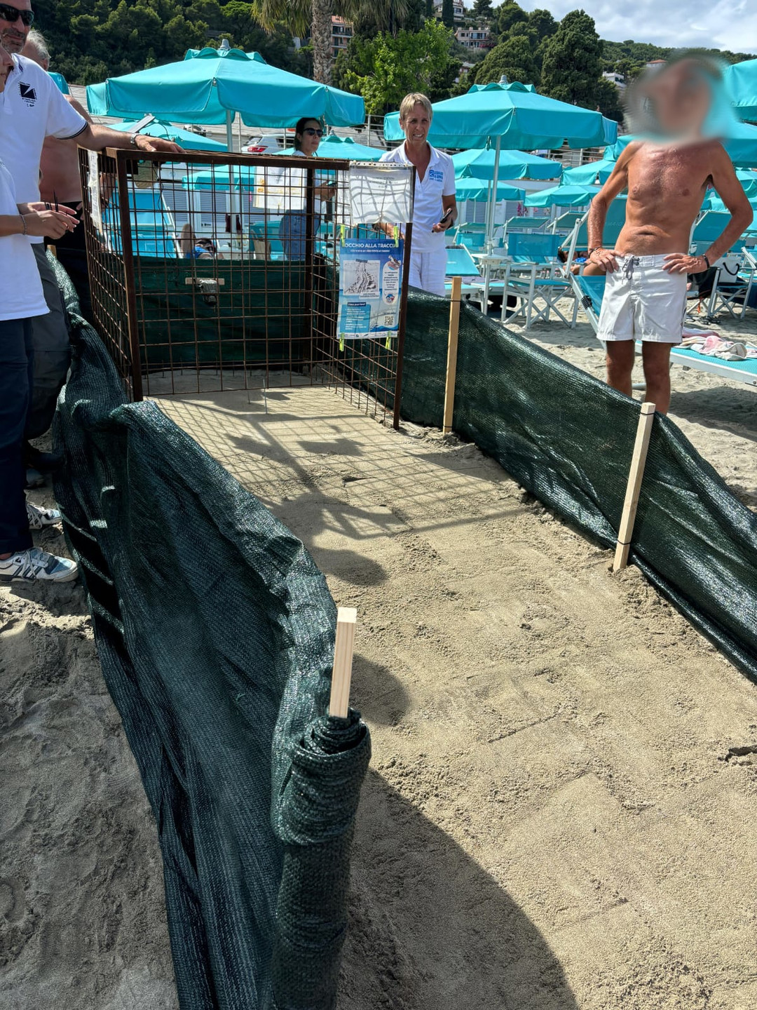sopralluogo nido Caretta Laigueglia.jpeg - {sopralluogo nido Caretta Laigueglia.jpeg} - [15896]