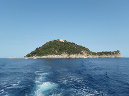 Isola-Gallinara-Tartaruga.jpg - {Isola-Gallinara-Tartaruga.jpg} - [16160]