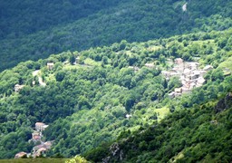 Caprauna_pan_da_dubasso.jpg - {Caprauna_pan_da_dubasso.jpg} - [16216]