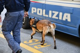 cinofili ok.jpg - {cinofili ok.jpg} - [16480]