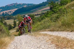monsterrato-monferrato.jpg - {monsterrato-monferrato.jpg} - [17280]