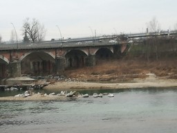 Ponte-di-Albertino.jpg - {Ponte-di-Albertino.jpg} - [18012]