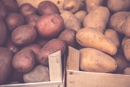Immagine Patate.jpg - {Immagine Patate.jpg} - [18220]