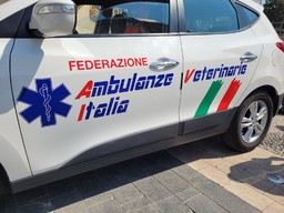 Ambulanza Veterinaria 03.jpeg - {Ambulanza Veterinaria 03.jpeg} - [18652]