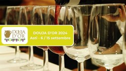 Douja d’Or 2024.jpg - {Douja d’Or 2024.jpg} - [19055]