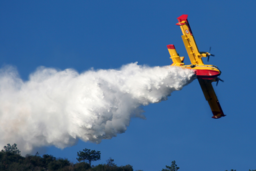 canadair.png - {canadair.png} - [20547]