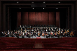 L'Orchestra del Teatro Regio di Torino - foto Edoardo Piva.jpg - {L'Orchestra del Teatro Regio di Torino - foto Edoardo Piva.jpg} - [21053]