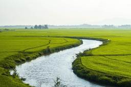 country-2178853_1280.jpg - {country-2178853_1280.jpg} - [21285]