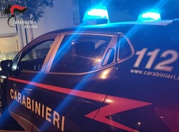 CC SV 13.jpg - {CC SV 13.jpg} - [21341]