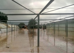 Alluvione-Liguria.jpg - {Alluvione-Liguria.jpg} - [21349]