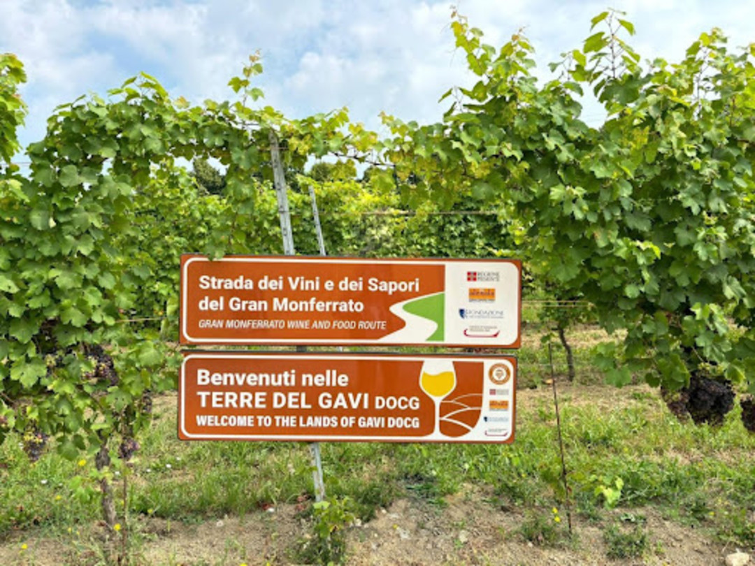 GranMoferrato.jpg - {GranMoferrato.jpg} - [21493]