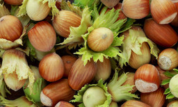 Nocciole.jpg - {Nocciole.jpg} - [21501]
