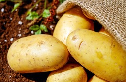 Patate.jpg - {Patate.jpg} - [21517]