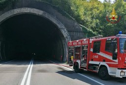 vigili del fuoco.jpg - {vigili del fuoco.jpg} - [21853]