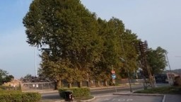 PlatiniASti.jpg - {PlatiniASti.jpg} - [22061]