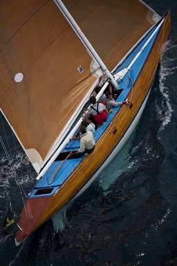 Valentina in navigazione (2).jpeg - {Valentina in navigazione (2).jpeg} - [22694]
