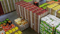 orsero.jpg - {orsero.jpg} - [23592]