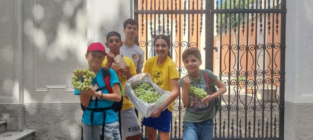 Oratorio_Don_Bosco_Savona_uva_apirena.jpg - {Oratorio_Don_Bosco_Savona_uva_apirena.jpg} - [23752]