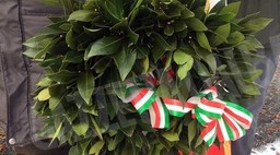 Corona di alloro.jpg - {Corona di alloro.jpg} - [23936]
