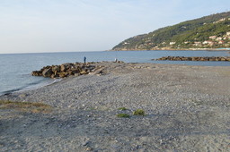 andora.jpg - {andora.jpg} - [23952]
