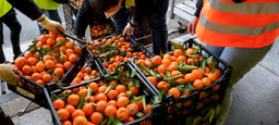 Foto solidarietà alimentare - raccolta cibo.jpg - {Foto solidarietà alimentare - raccolta cibo.jpg} - [24008]