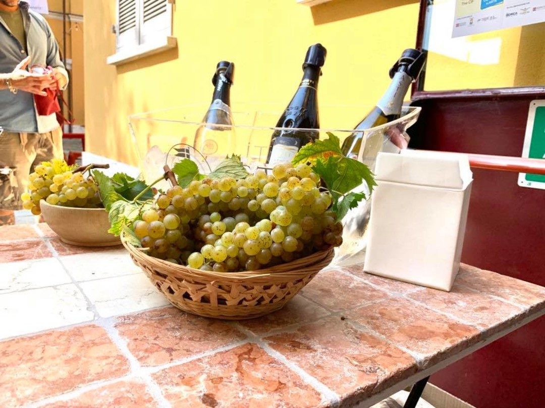 CanelliCittaVino.jpg - {CanelliCittaVino.jpg} - [24088]