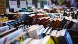 IndipendentBook.jpg - {IndipendentBook.jpg} - [24096]