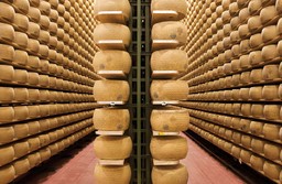 GranaPadano.jpg - {GranaPadano.jpg} - [24289]