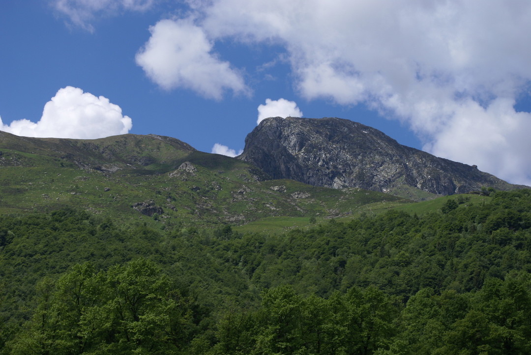 Mucrone.jpg - {Mucrone.jpg} - [24418]